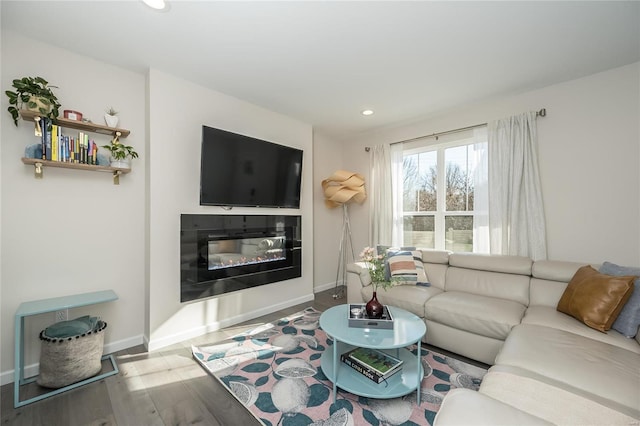 living room featuring wood-type flooring