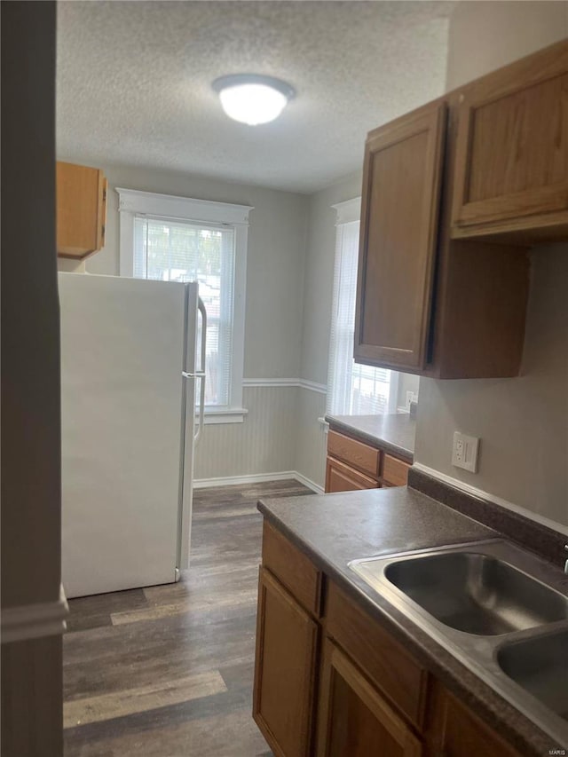 kitchen featuring dark hardwood / wood-style flooring, sink, a textured ceiling, and white fridge