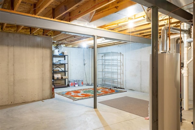 basement featuring gas water heater