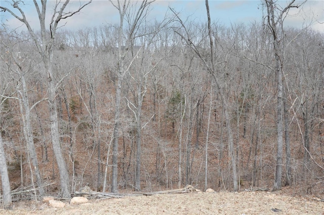 view of landscape with a forest view