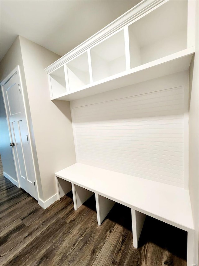 mudroom with dark wood-type flooring