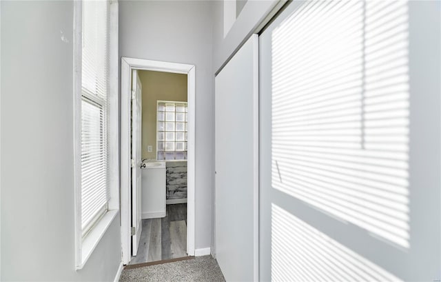 hall featuring carpet flooring