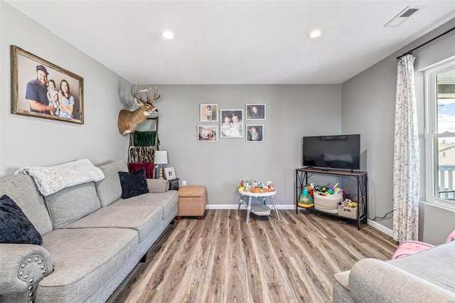 living room with hardwood / wood-style flooring and plenty of natural light