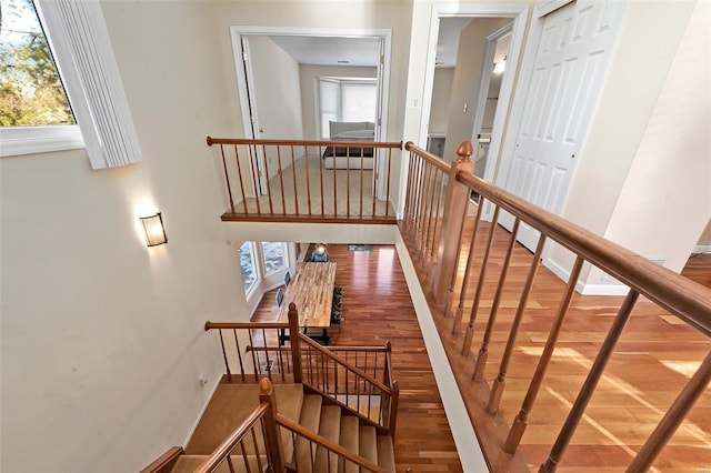 stairway featuring wood-type flooring and plenty of natural light