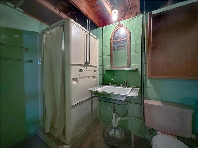 bathroom featuring a shower, sink, and toilet