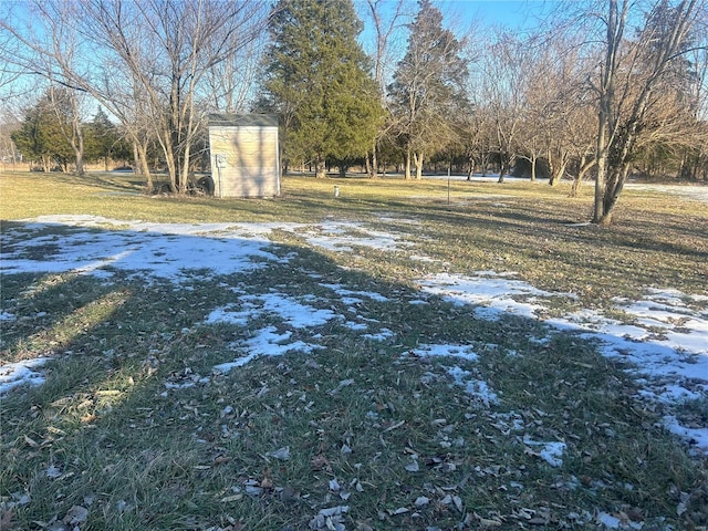 yard covered in snow with a storage unit