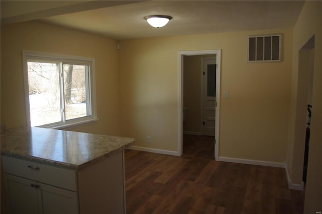 kitchen featuring dark wood-type flooring