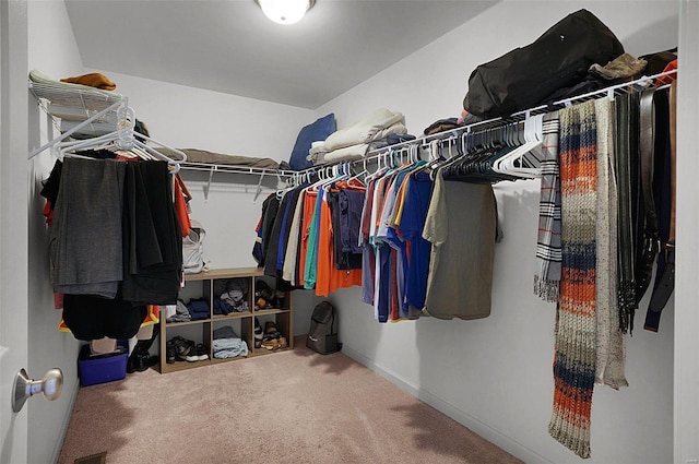 spacious closet with carpet