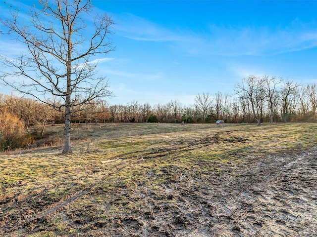 view of yard with a rural view