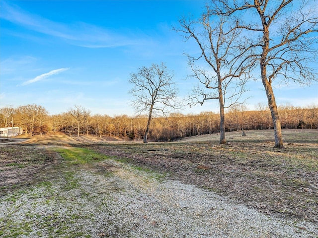 view of yard with a rural view