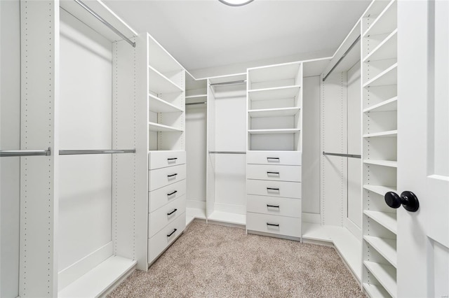 walk in closet with light colored carpet