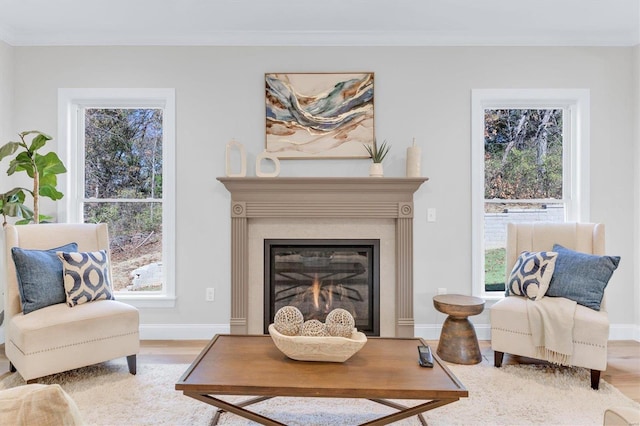 living area featuring wood-type flooring and a wealth of natural light