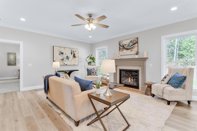 living room featuring ceiling fan, ornamental molding, and light hardwood / wood-style floors