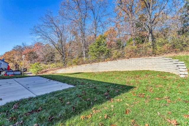 view of yard featuring a patio area