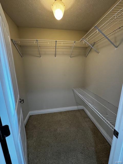 walk in closet featuring dark carpet