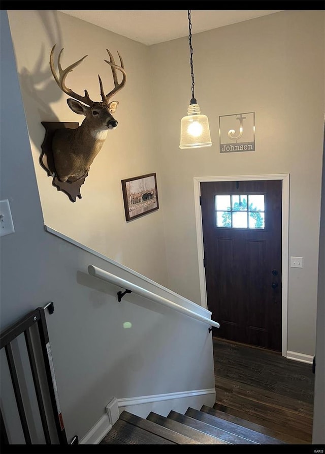 entryway featuring dark hardwood / wood-style floors