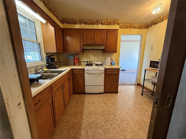 kitchen featuring sink and gas range gas stove