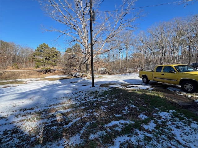 view of yard covered in snow