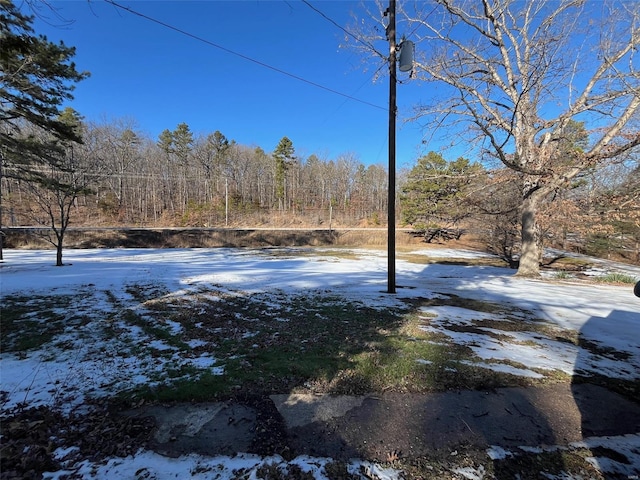 view of snowy yard