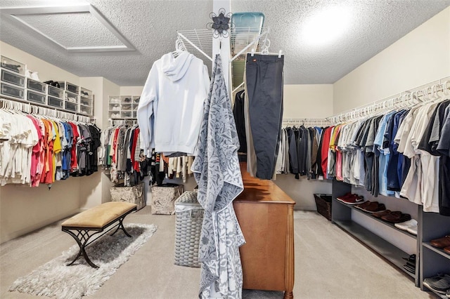 walk in closet with light carpet