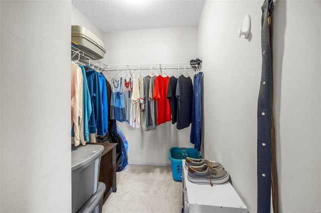 walk in closet featuring light colored carpet