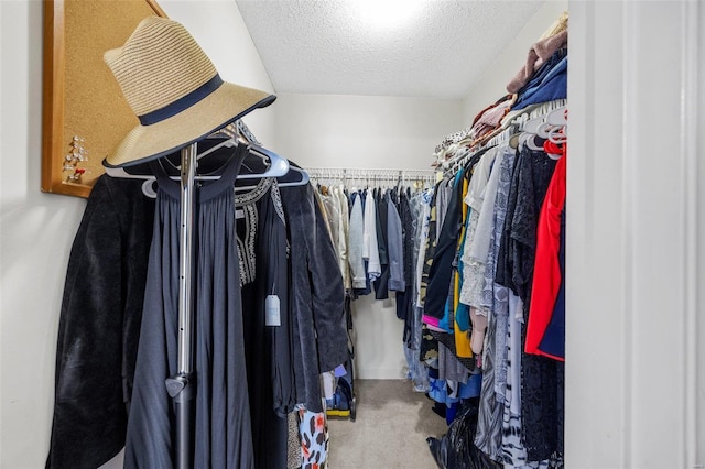 spacious closet featuring carpet