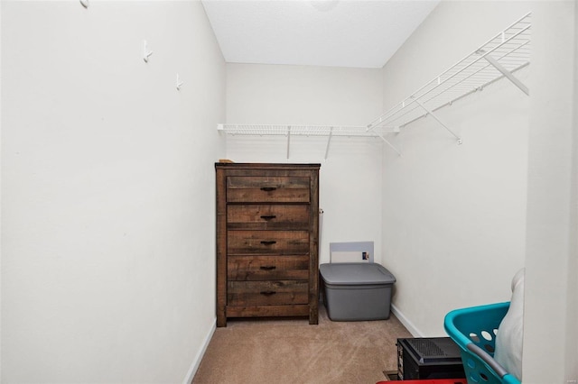 walk in closet featuring light carpet