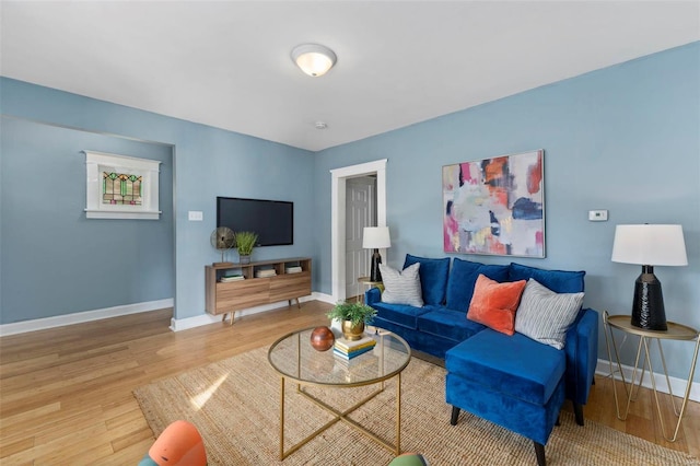 living room featuring wood-type flooring