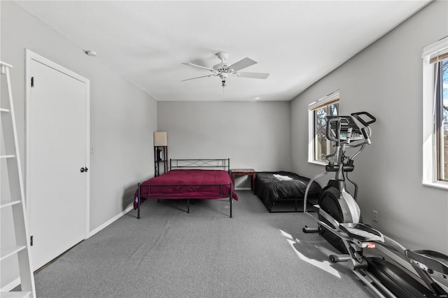 workout area with a healthy amount of sunlight, ceiling fan, carpet floors, and baseboards