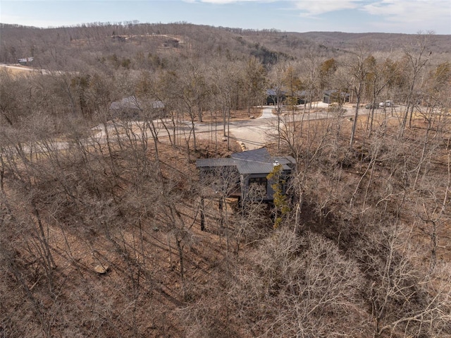 bird's eye view with a rural view