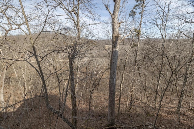 view of local wilderness