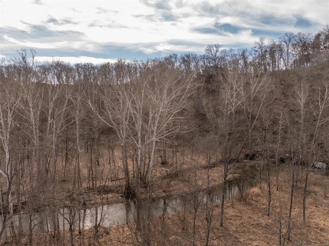 view of local wilderness