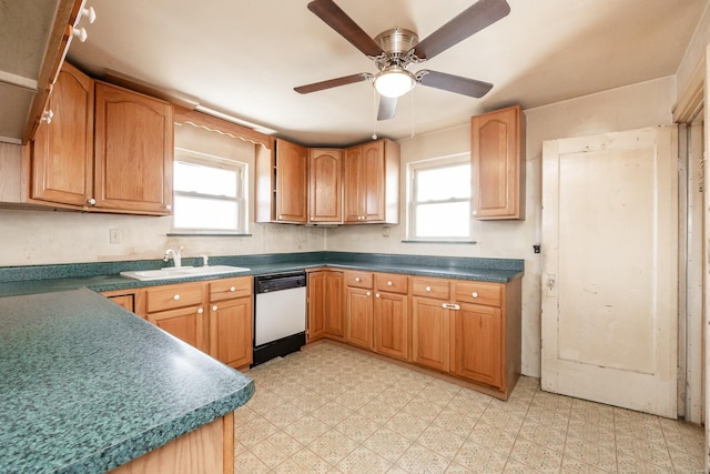 kitchen featuring a healthy amount of sunlight, sink, ceiling fan, and white dishwasher