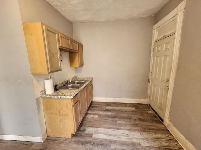 kitchen with light brown cabinetry, sink, and dark wood-type flooring