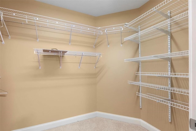 spacious closet featuring carpet floors