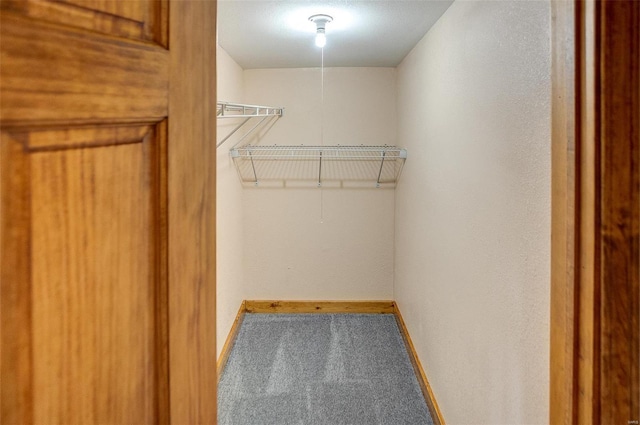 walk in closet with carpet flooring