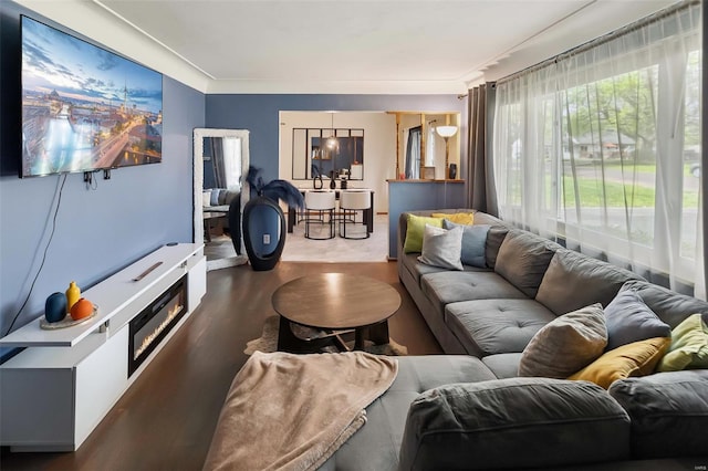 living room featuring wood finished floors