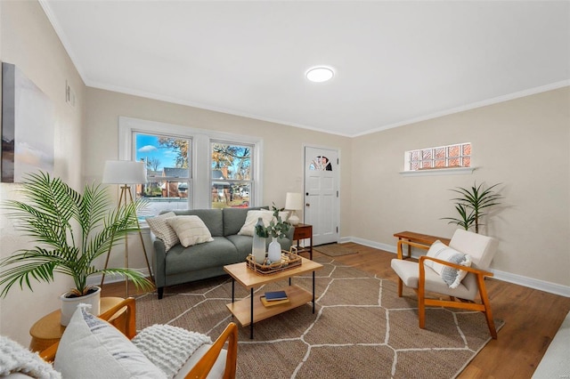 living room featuring ornamental molding and hardwood / wood-style floors