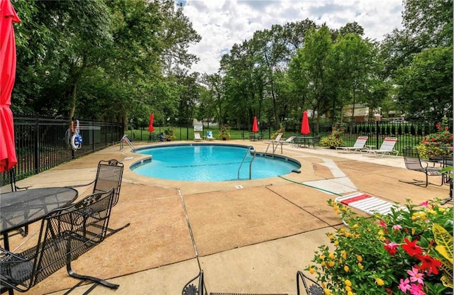 view of swimming pool featuring a patio area