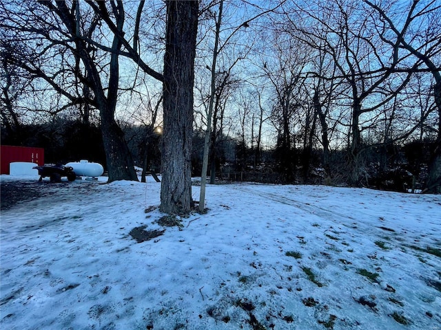 view of snowy yard