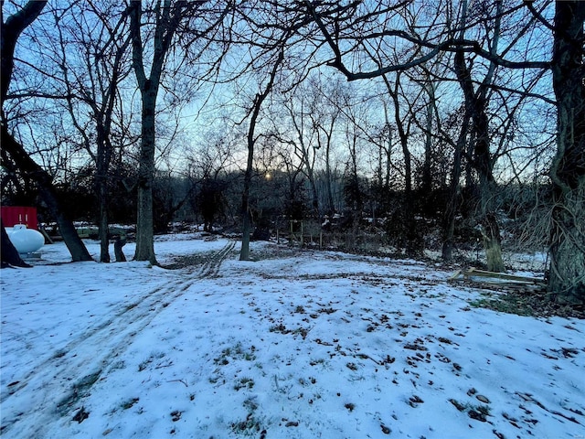 view of yard covered in snow