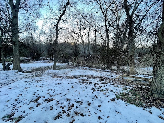 view of snowy yard