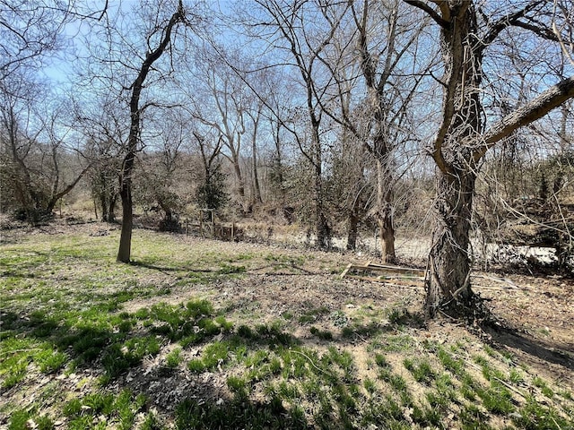 view of landscape