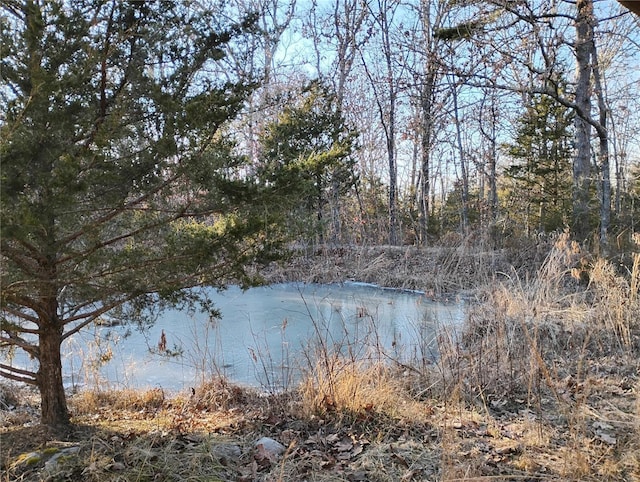 view of water feature