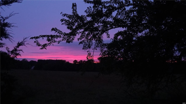 view of nature at dusk