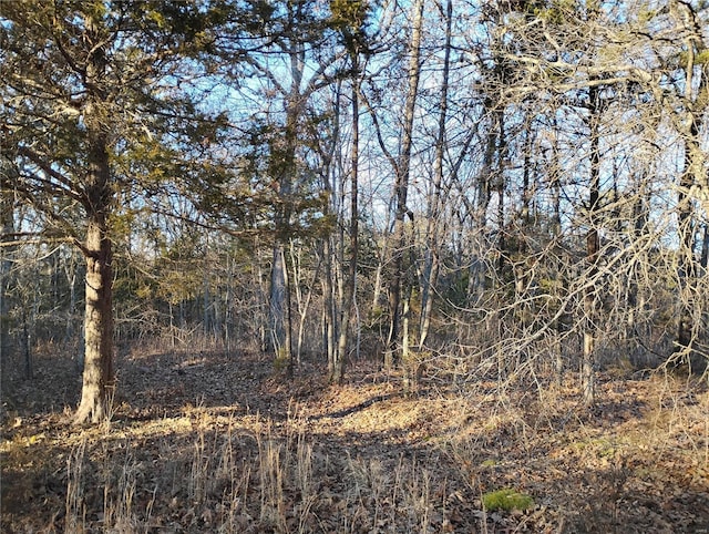 view of local wilderness