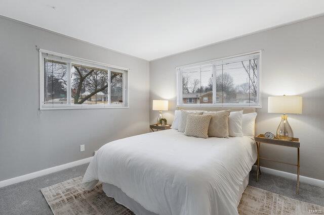 bedroom featuring carpet