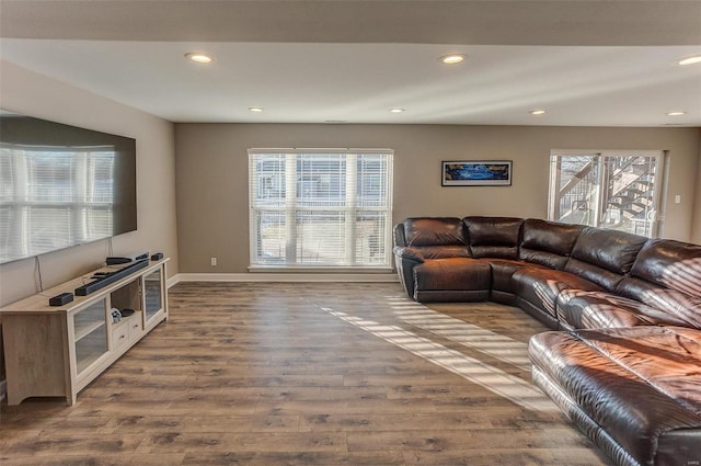 living room featuring dark wood-type flooring