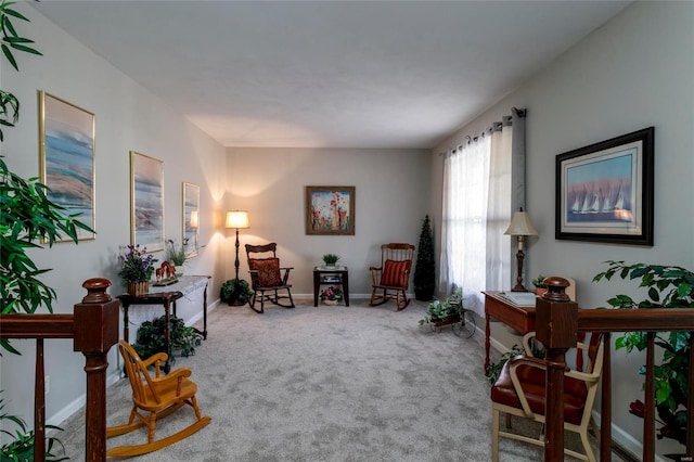 sitting room featuring carpet floors