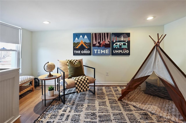 sitting room featuring hardwood / wood-style floors